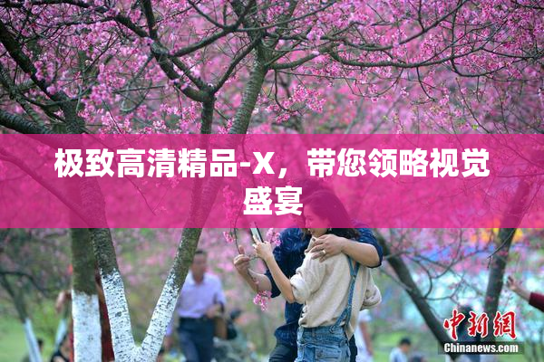 极致高清精品-X，带您领略视觉盛宴