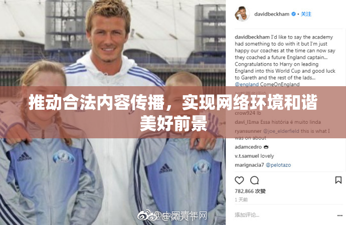 推动合法内容传播，实现网络环境和谐美好前景