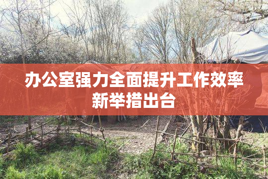 办公室强力全面提升工作效率新举措出台