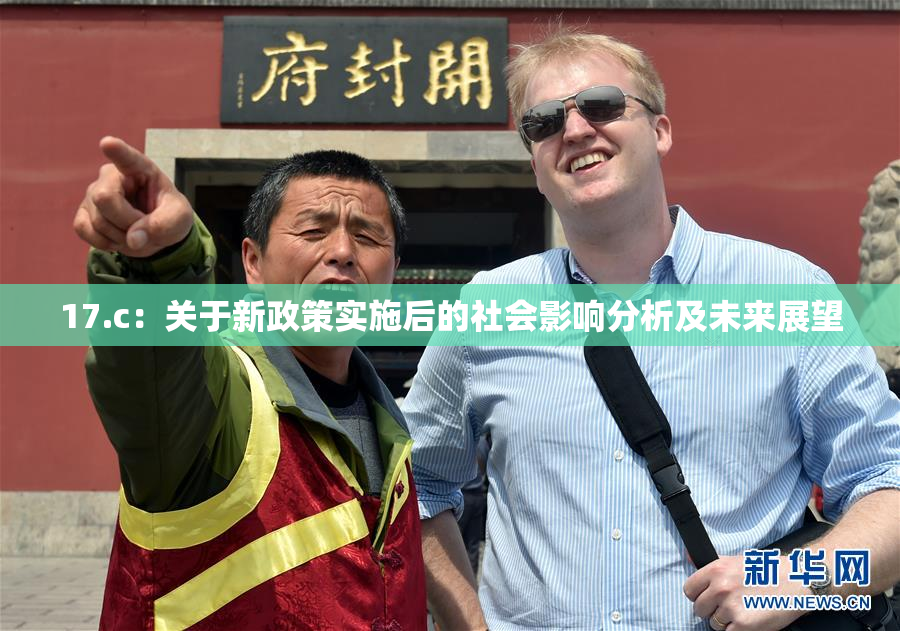 17.c：关于新政策实施后的社会影响分析及未来展望