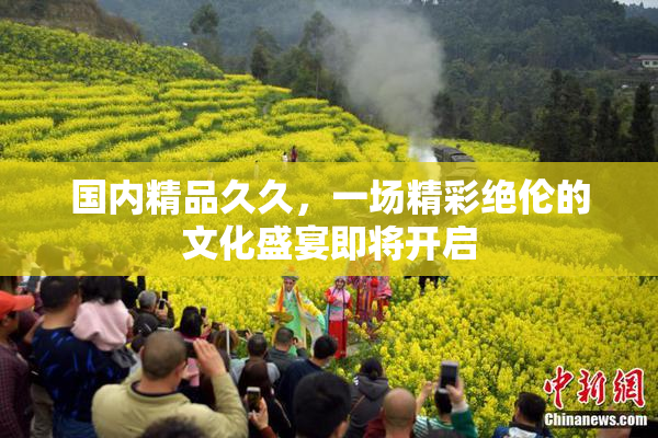 国内精品久久，一场精彩绝伦的文化盛宴即将开启