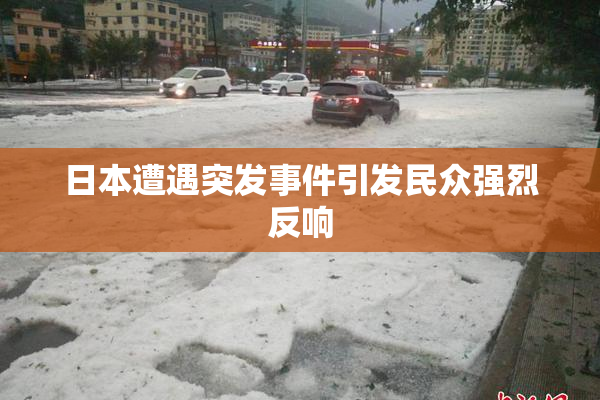 日本遭遇突发事件引发民众强烈反响