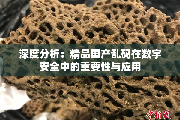 深度分析：精品国产乱码在数字安全中的重要性与应用