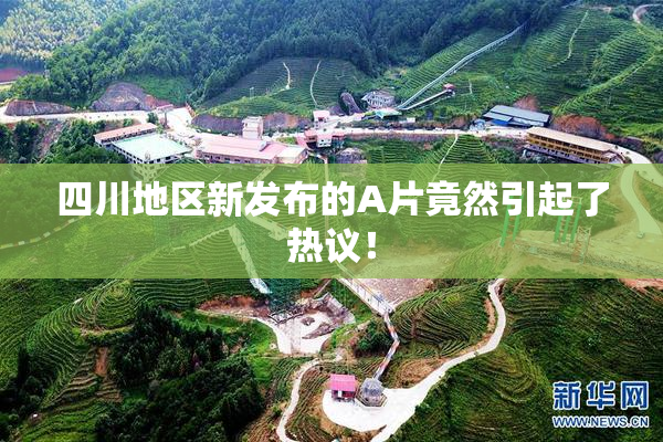 四川地区新发布的A片竟然引起了热议！
