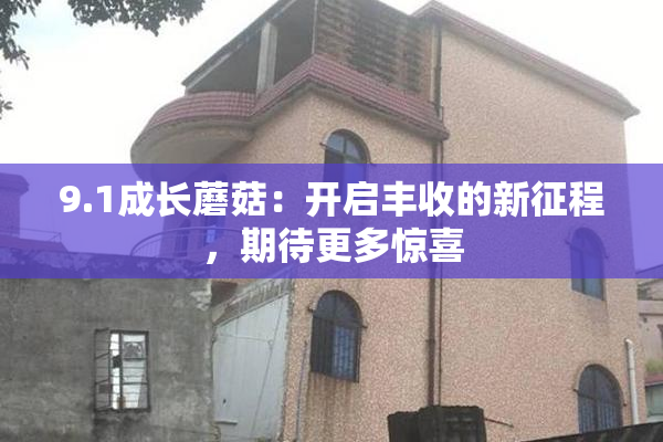 9.1成长蘑菇：开启丰收的新征程，期待更多惊喜
