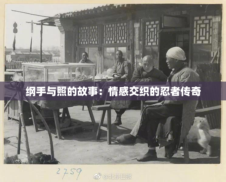 纲手与照的故事：情感交织的忍者传奇