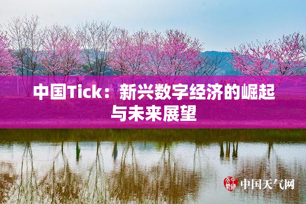 中国Tick：新兴数字经济的崛起与未来展望