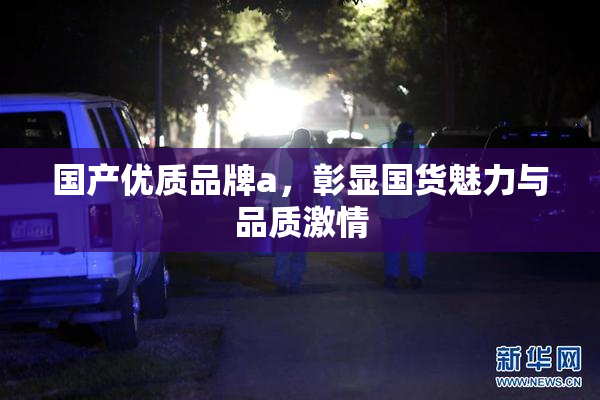 国产优质品牌a，彰显国货魅力与品质激情