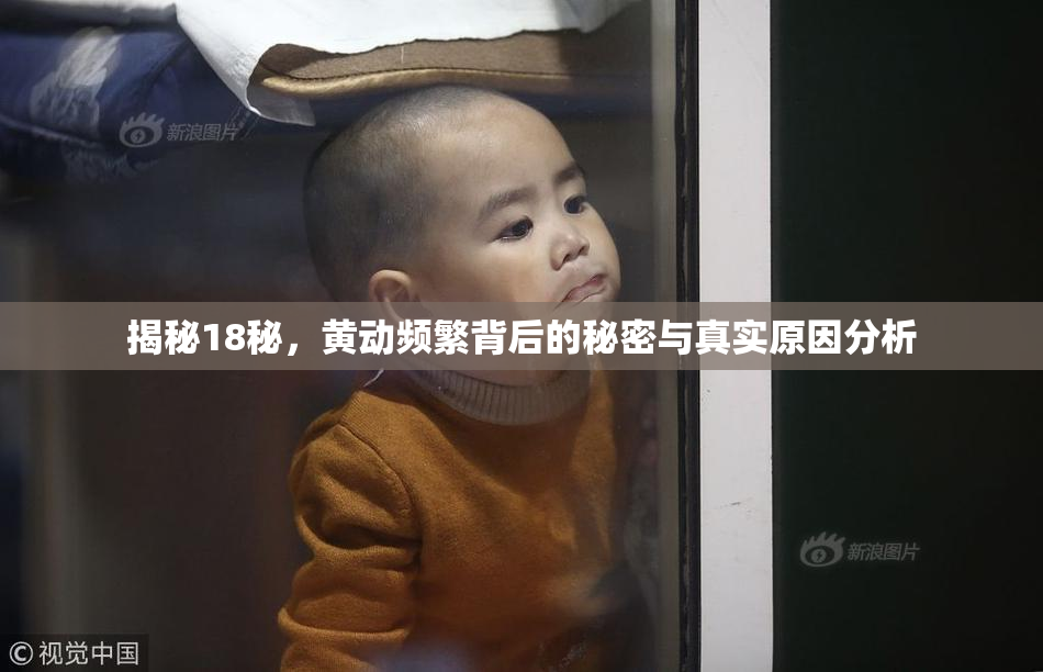 揭秘18秘，黄动频繁背后的秘密与真实原因分析