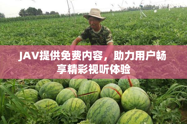 JAV提供免费内容，助力用户畅享精彩视听体验
