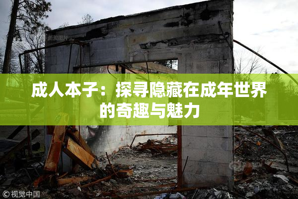 成人本子：探寻隐藏在成年世界的奇趣与魅力
