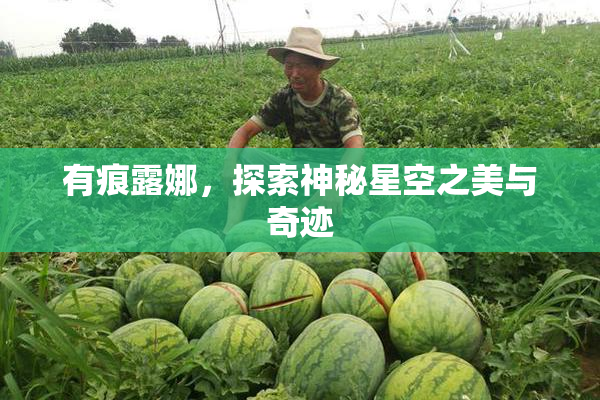 有痕露娜，探索神秘星空之美与奇迹