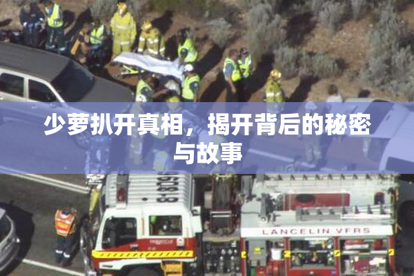 少萝扒开真相，揭开背后的秘密与故事