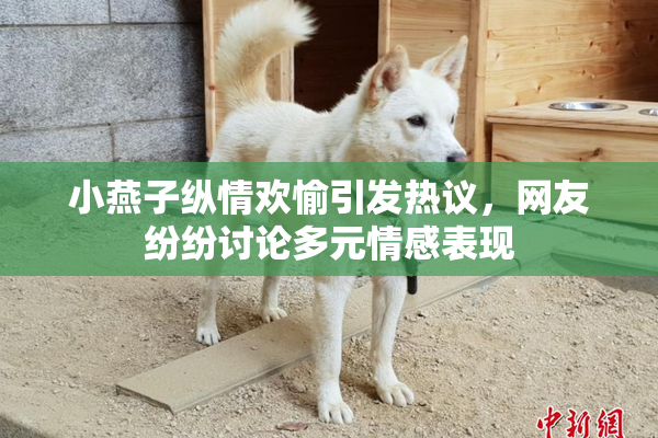 小燕子纵情欢愉引发热议，网友纷纷讨论多元情感表现