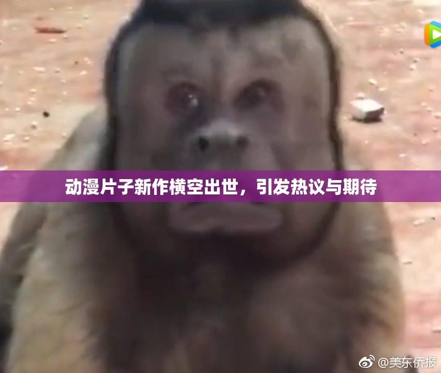 动漫片子新作横空出世，引发热议与期待
