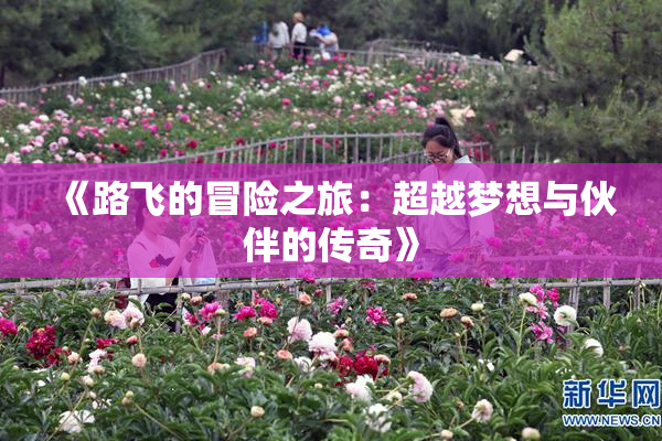 《路飞的冒险之旅：超越梦想与伙伴的传奇》