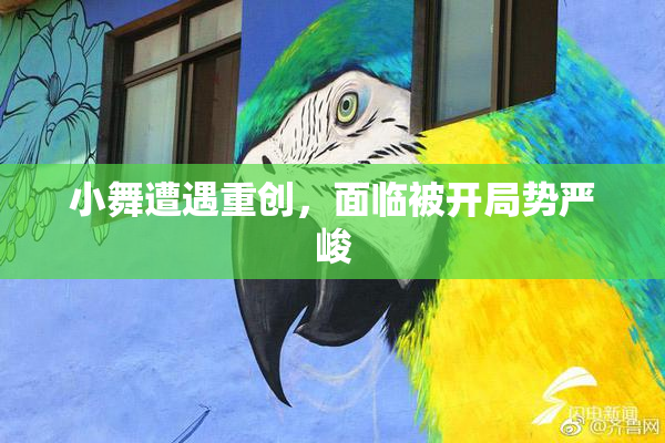 小舞遭遇重创，面临被开局势严峻