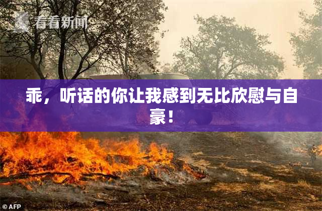 乖，听话的你让我感到无比欣慰与自豪！