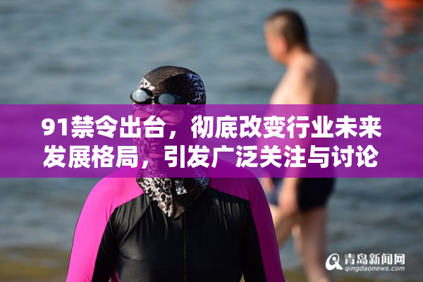 91禁令出台，彻底改变行业未来发展格局，引发广泛关注与讨论