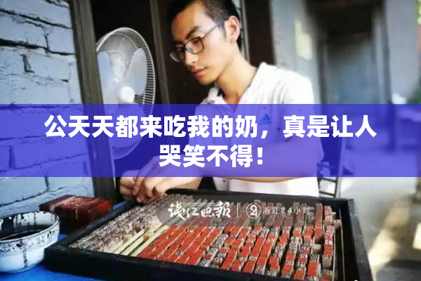 公天天都来吃我的奶，真是让人哭笑不得！