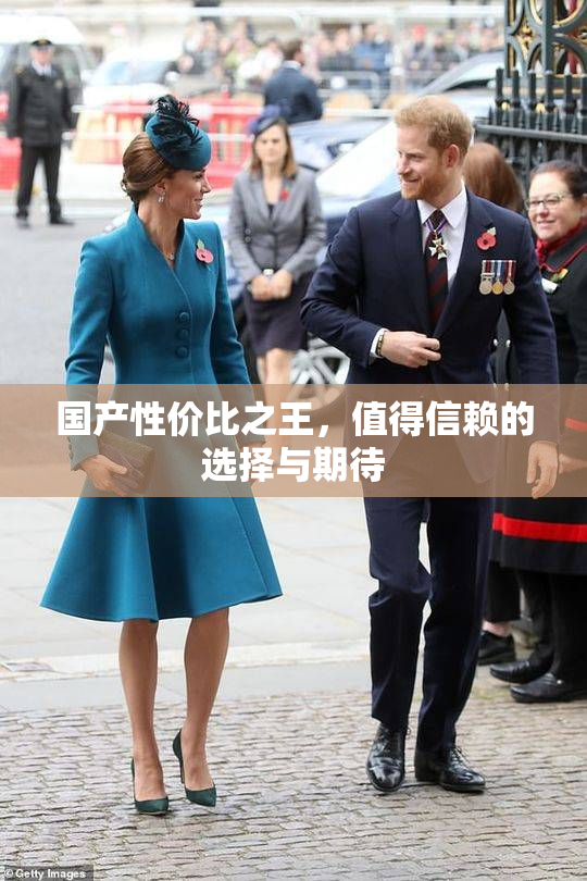 国产性价比之王，值得信赖的选择与期待