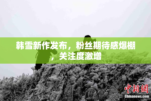 韩雪新作发布，粉丝期待感爆棚，关注度激增