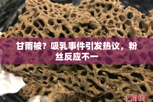 甘雨被？吸乳事件引发热议，粉丝反应不一