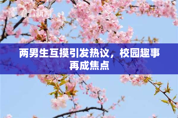两男生互摸引发热议，校园趣事再成焦点