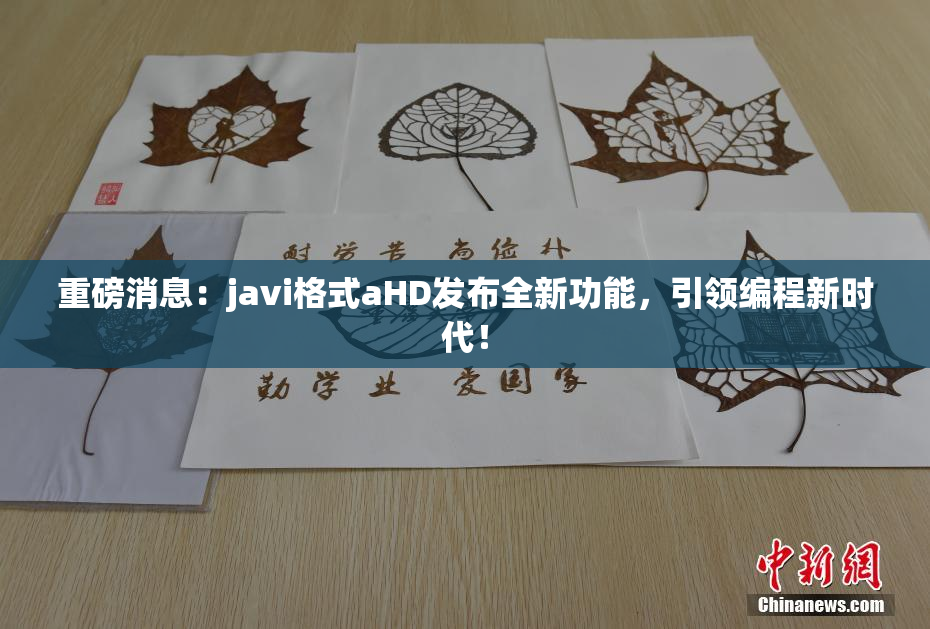 重磅消息：javi格式aHD发布全新功能，引领编程新时代！