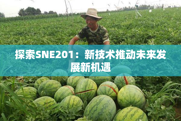探索SNE201：新技术推动未来发展新机遇