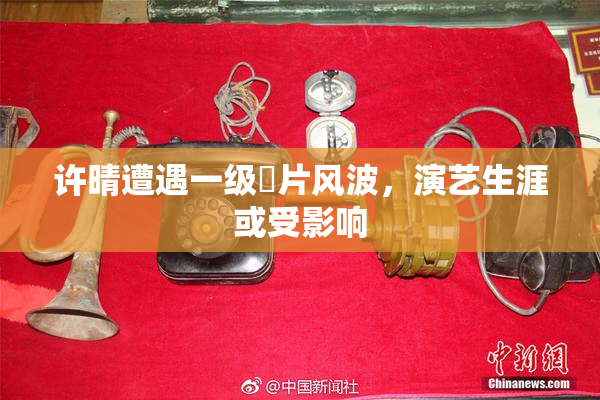 许晴遭遇一级婬片风波，演艺生涯或受影响