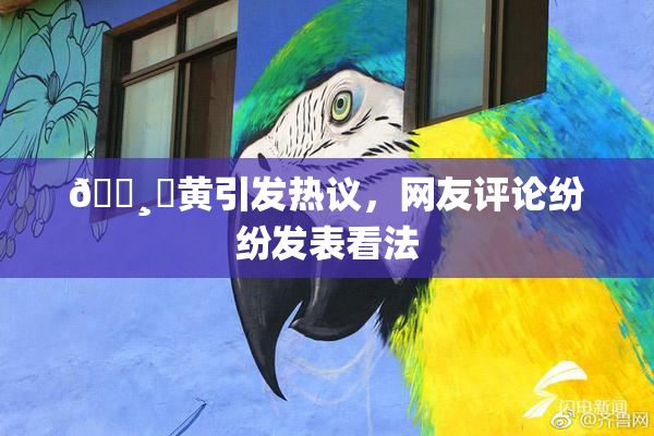 🌸‌黄引发热议，网友评论纷纷发表看法