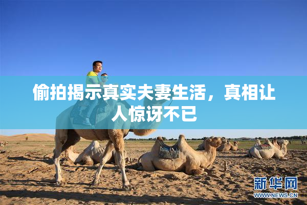 偷拍揭示真实夫妻生活，真相让人惊讶不已