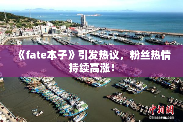 《fate本子》引发热议，粉丝热情持续高涨！