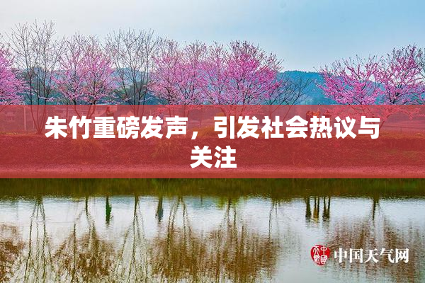 朱竹重磅发声，引发社会热议与关注