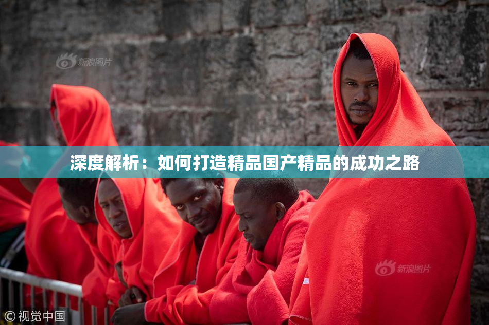 深度解析：如何打造精品国产精品的成功之路