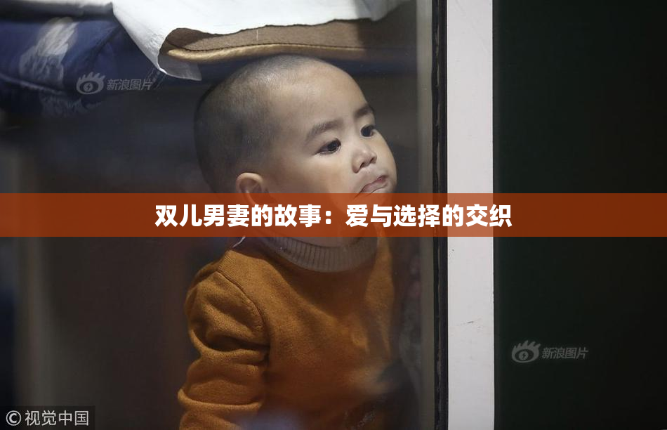 双儿男妻的故事：爱与选择的交织