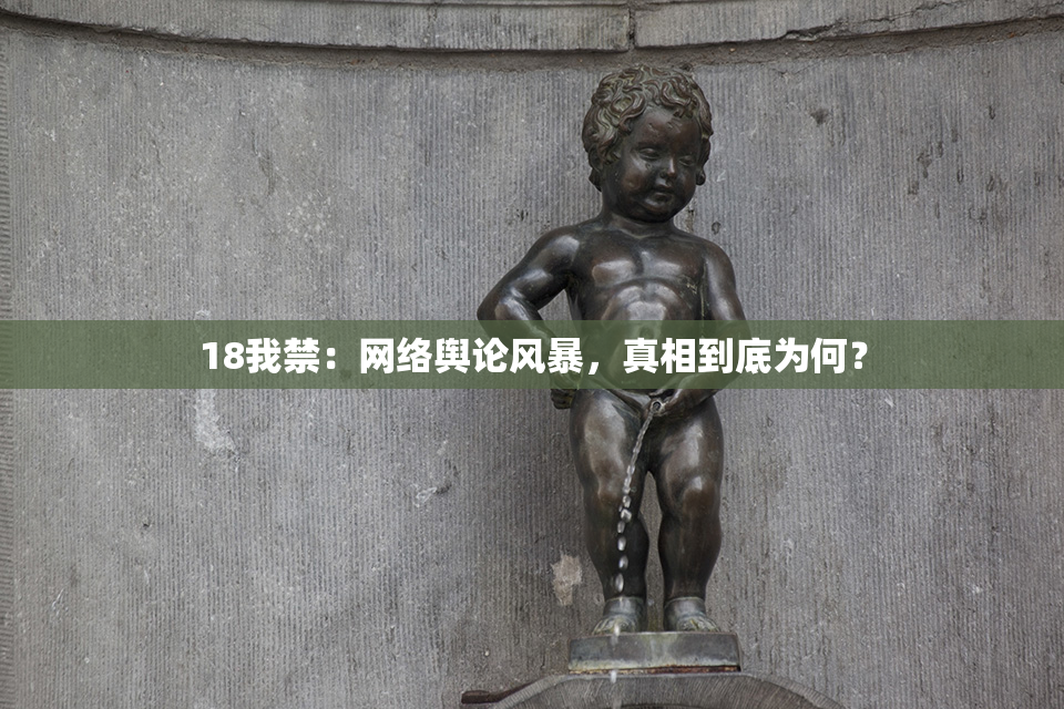 18我禁：网络舆论风暴，真相到底为何？