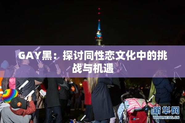 GAY黑：探讨同性恋文化中的挑战与机遇
