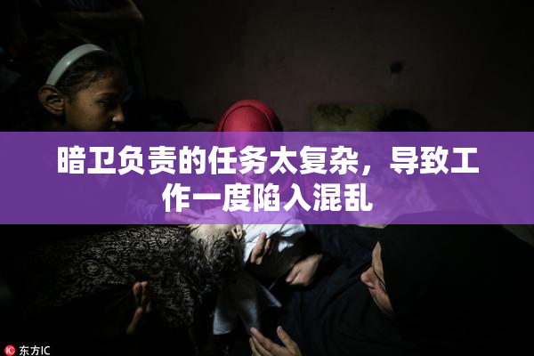 暗卫负责的任务太复杂，导致工作一度陷入混乱