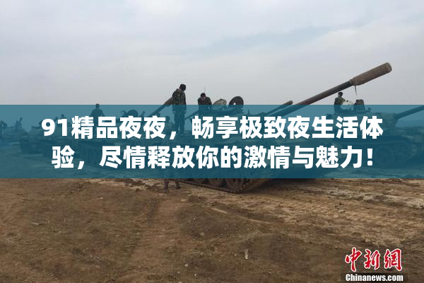 91精品夜夜，畅享极致夜生活体验，尽情释放你的激情与魅力！