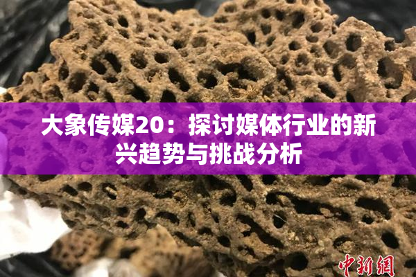 大象传媒20：探讨媒体行业的新兴趋势与挑战分析