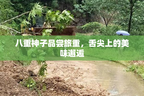 八重神子品尝旅重，舌尖上的美味邂逅