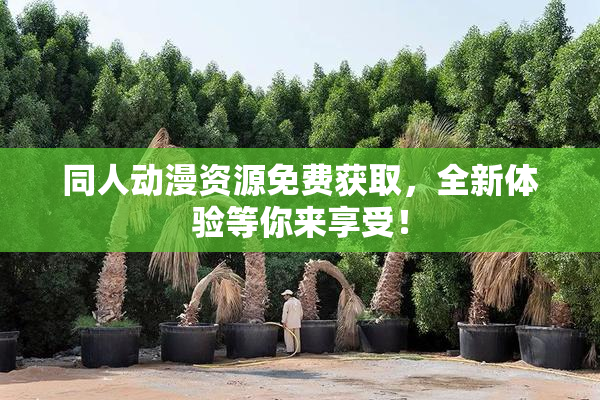 同人动漫资源免费获取，全新体验等你来享受！