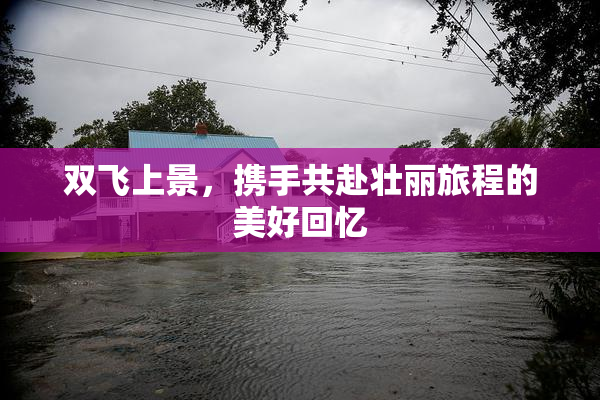 双飞上景，携手共赴壮丽旅程的美好回忆