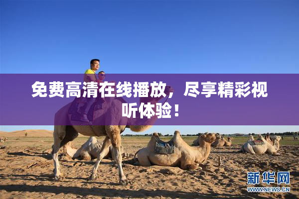 免费高清在线播放，尽享精彩视听体验！