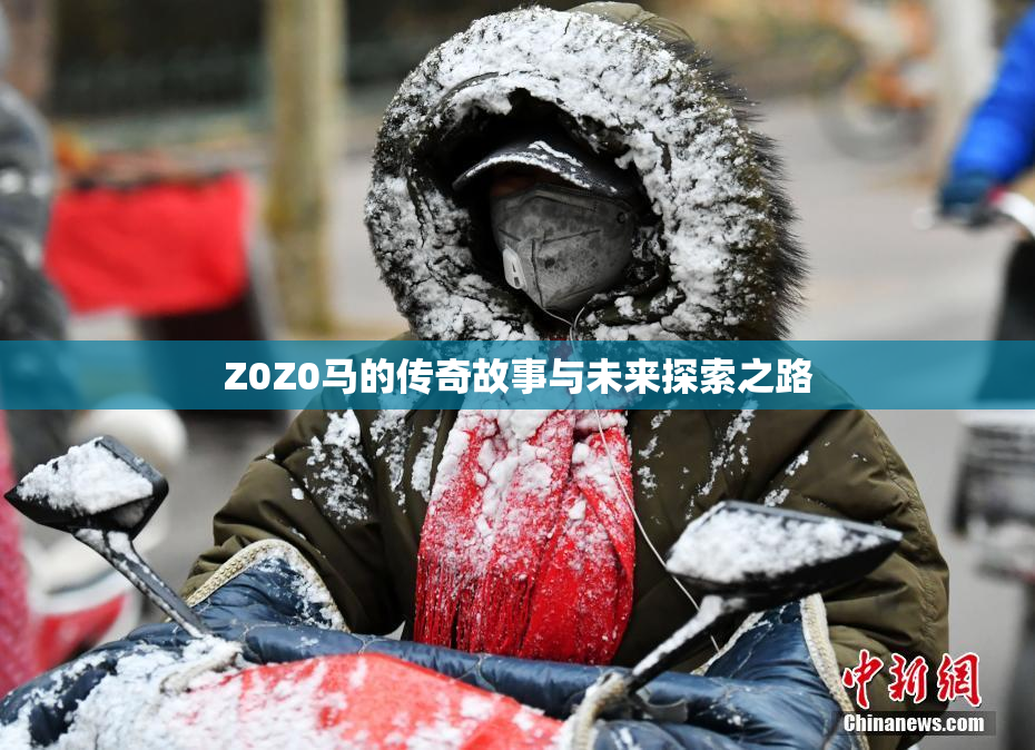 Z0Z0马的传奇故事与未来探索之路