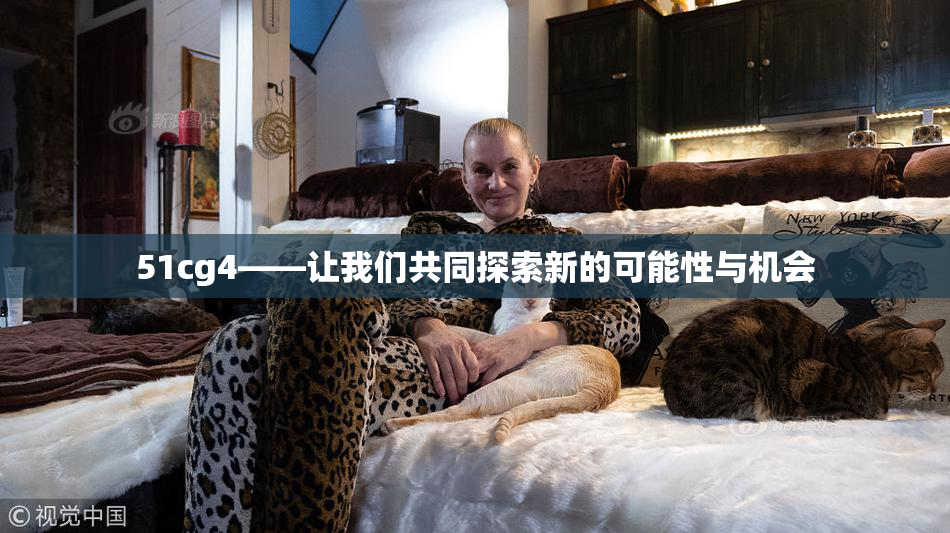 51cg4——让我们共同探索新的可能性与机会