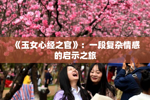 《玉女心经之官》：一段复杂情感的启示之旅