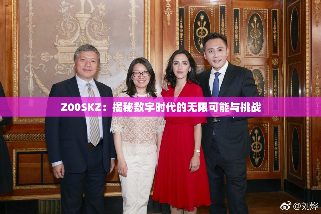 Z00SKZ：揭秘数字时代的无限可能与挑战
